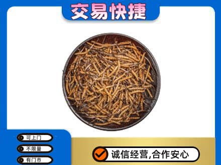 滁州市定远礼品回收虫草.jpg