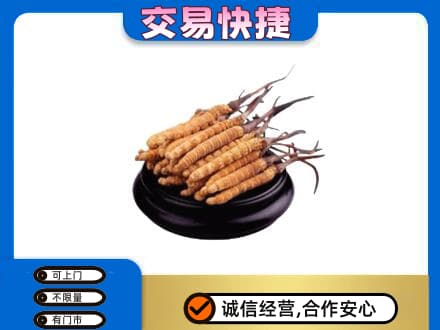 滁州市定远礼品回收散虫草.jpg